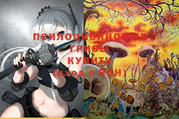 apvp Волосово