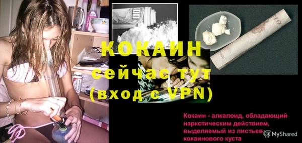 дживик Володарск