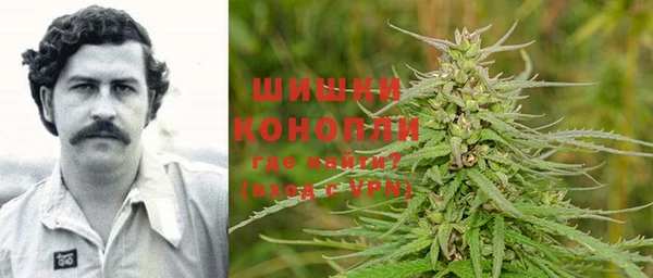дживик Володарск